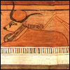 Apis